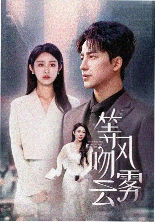 琅琊榜剧集海报