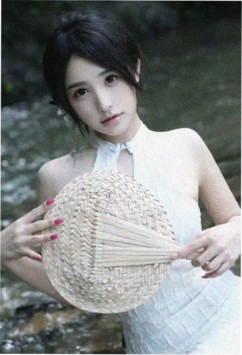 甄嬛传剧集海报